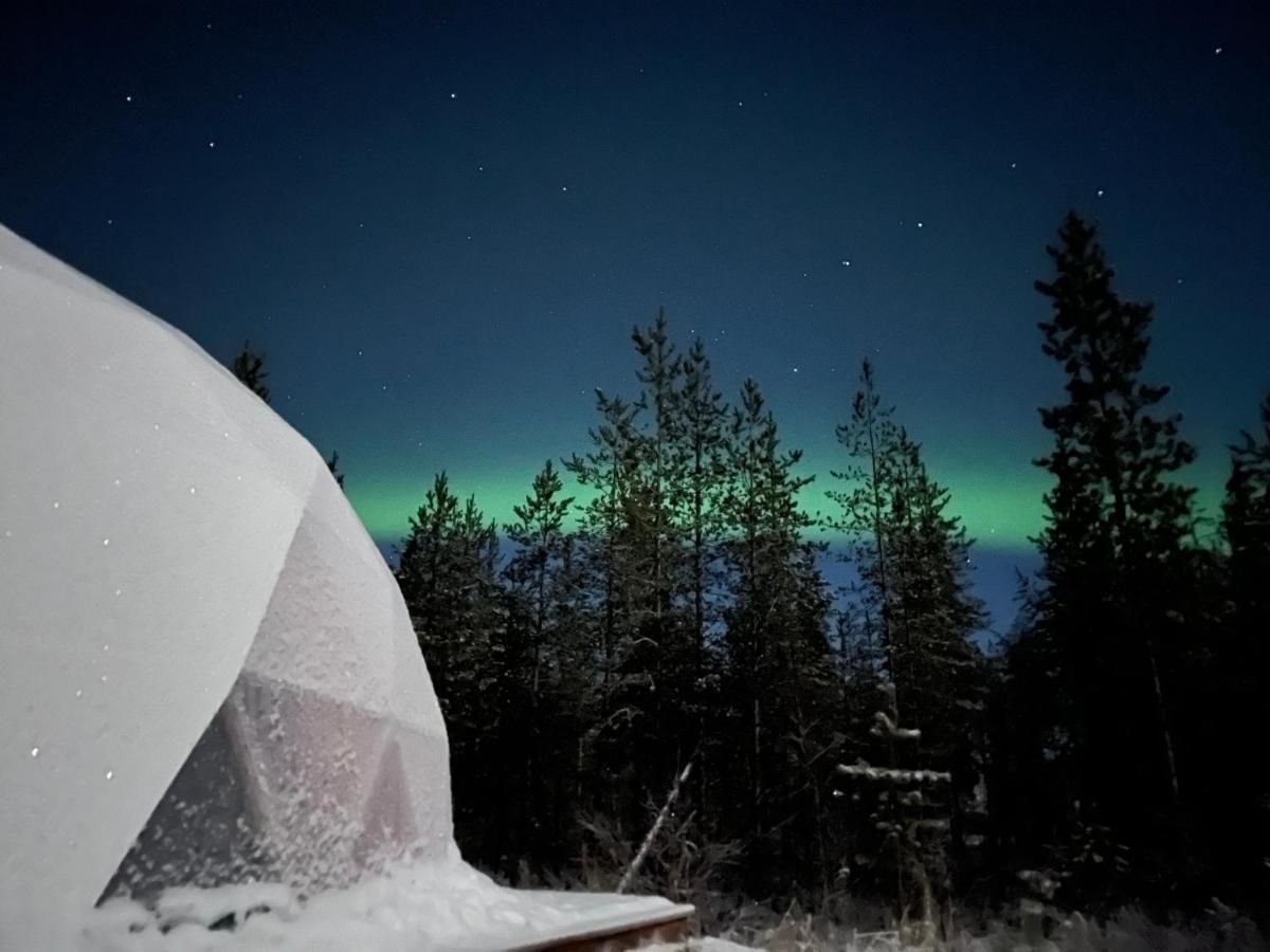 Luxury tent Aurora Igloo Fireplace-heated Tents In A Secret Forest With Private Jacuzzi And Shared Sauna Bathroom And Dog Friendly Rovaniemi
