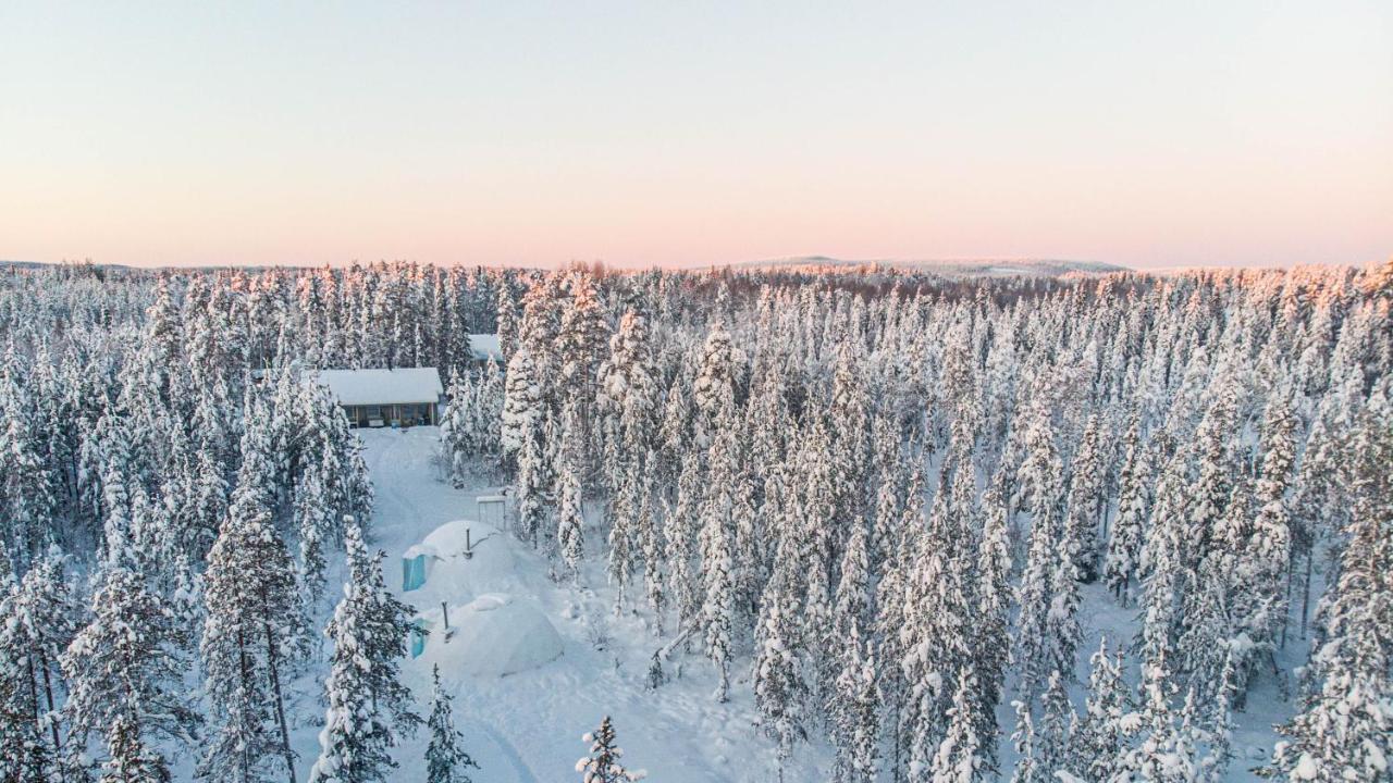 Aurora Igloo Fireplace-heated Tents In A Secret Forest With Private Jacuzzi And Shared Sauna Bathroom And Dog Friendly Rovaniemi