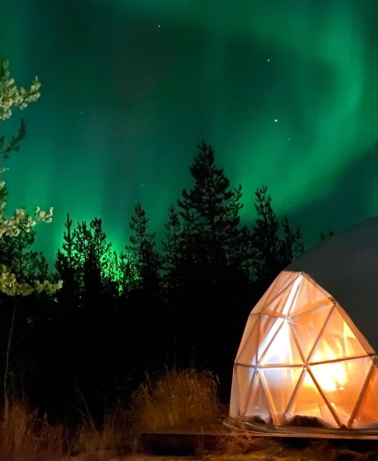 Aurora Igloo Fireplace-heated Tents In A Secret Forest With Private Jacuzzi And Shared Sauna Bathroom And Dog Friendly Luxury tent