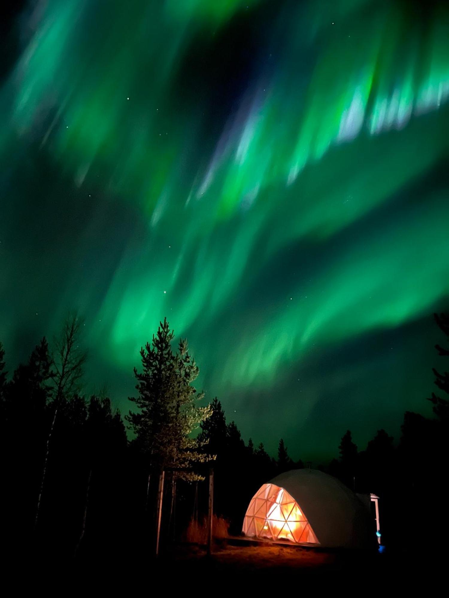 Aurora Igloo Fireplace-heated Tents In A Secret Forest With Private Jacuzzi And Shared Sauna Bathroom And Dog Friendly * Rovaniemi