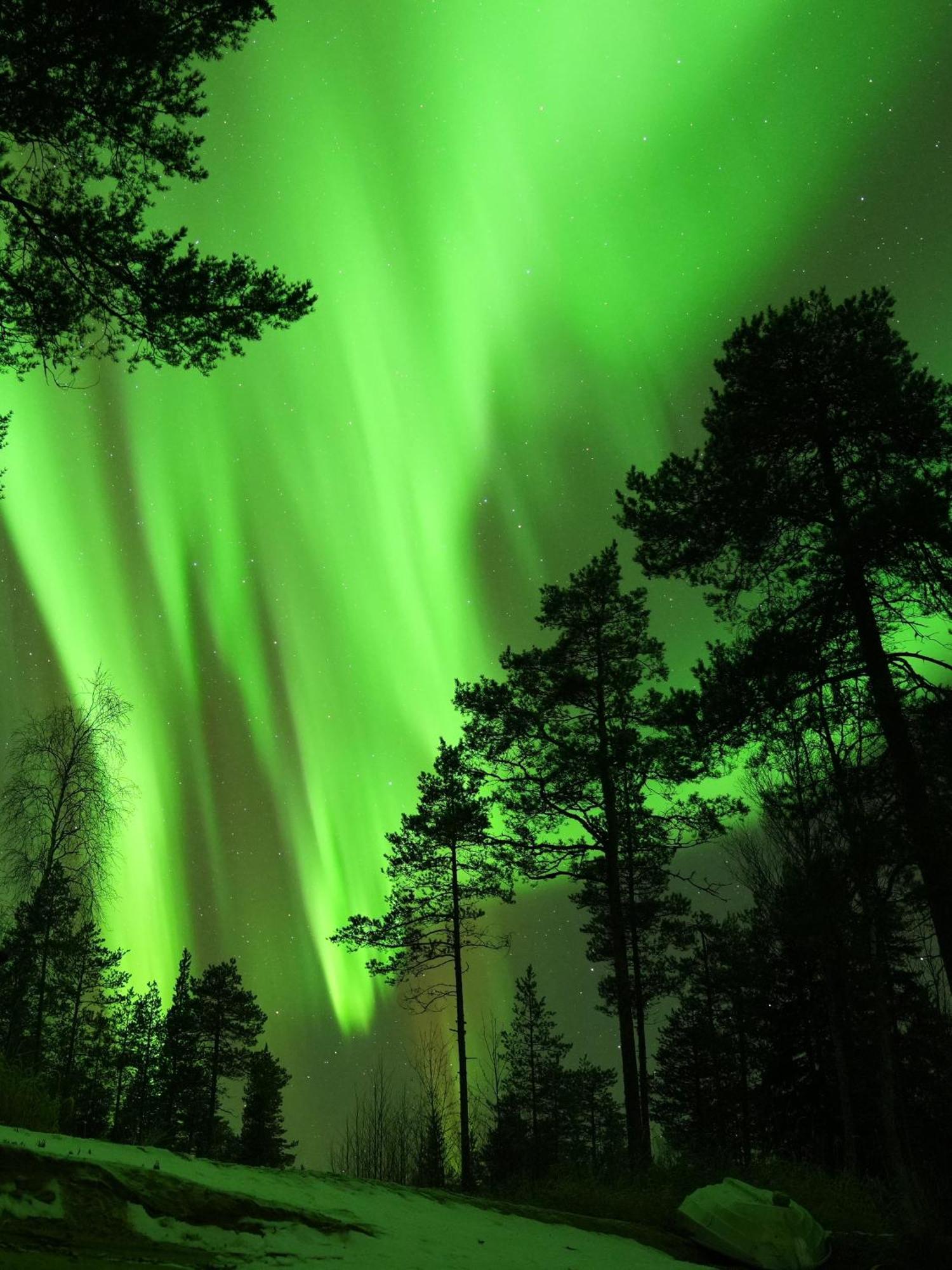 Lyxtält Aurora Igloo Fireplace-heated Tents In A Secret Forest With Private Jacuzzi And Shared Sauna Bathroom And Dog Friendly