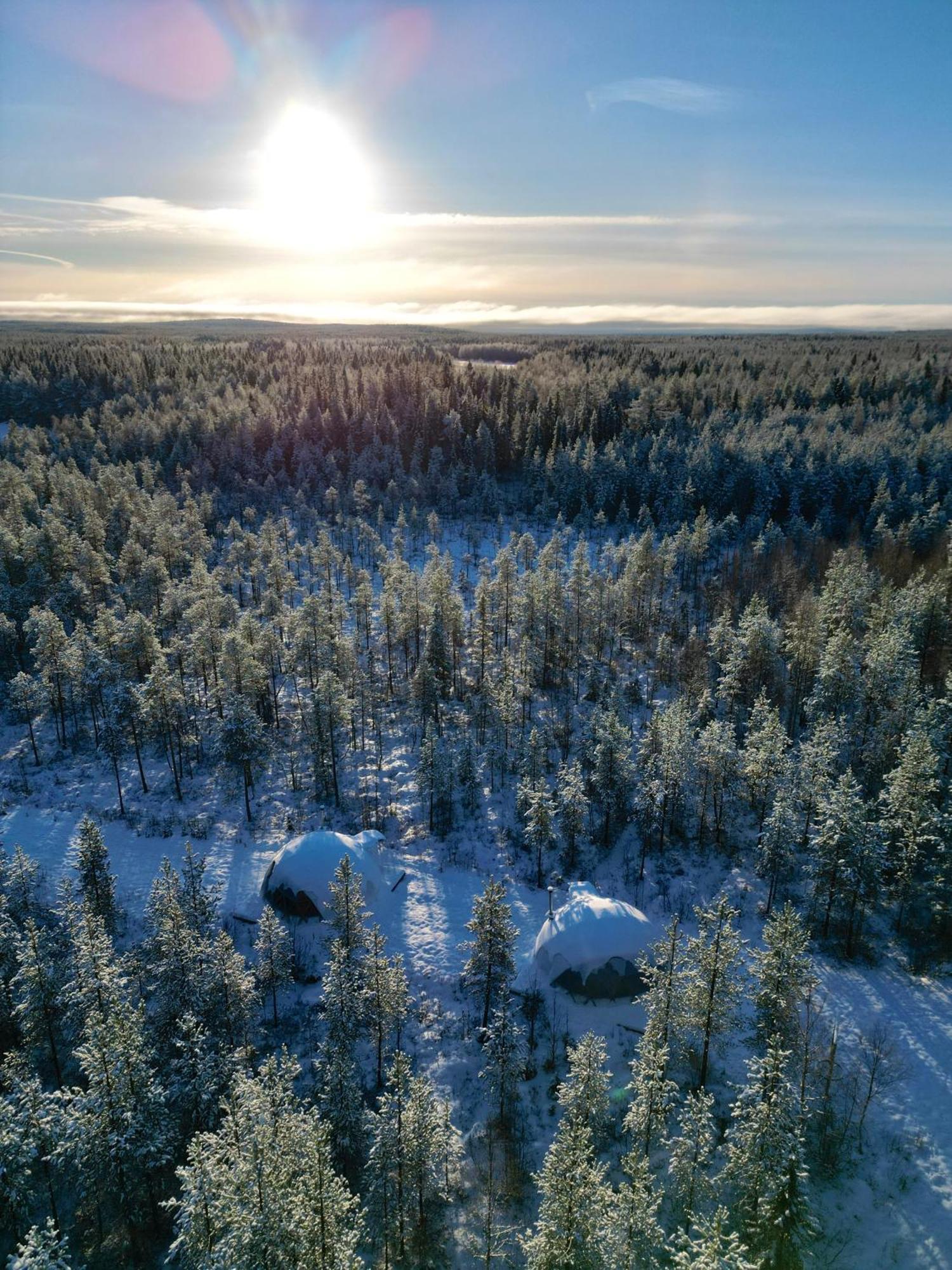 Aurora Igloo Fireplace-heated Tents In A Secret Forest With Private Jacuzzi And Shared Sauna Bathroom And Dog Friendly * Rovaniemi