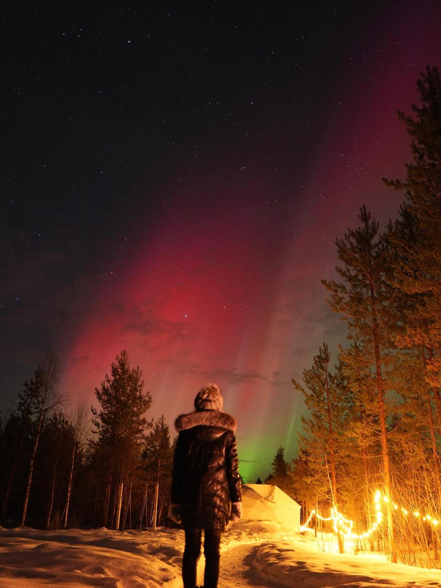 Aurora Igloo Fireplace-heated Tents In A Secret Forest With Private Jacuzzi And Shared Sauna Bathroom And Dog Friendly Luxury tent Rovaniemi